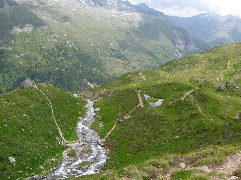 wildenkogel